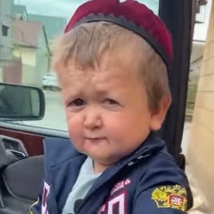 PedroMVMoura's profile picture. 