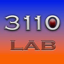 3110 Lab