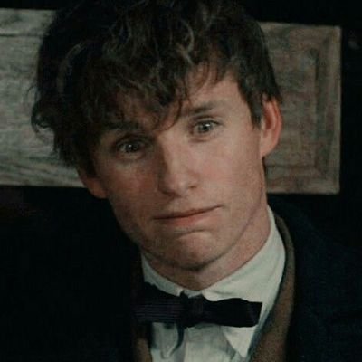 ✨ Some contents all about Newt Scamander and Eddie Redmayne ✨ Hufflepuff nerd ✨ Fantastic Beasts ✨ TWD ✨ MCU ✨