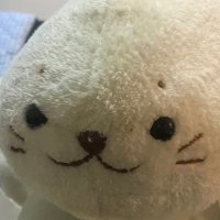 やまも (@_nansu_) 's Twitter Profile
