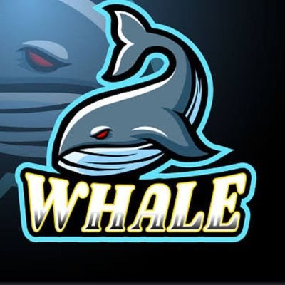 CryptoWhale1988 Profile Picture