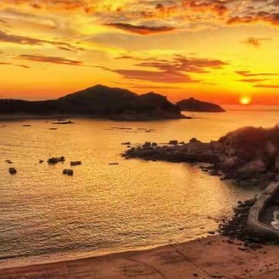 MAI56515495's profile picture. 