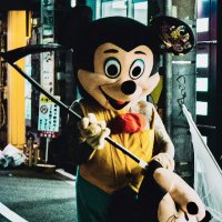 キムラです (@fujii_5kan) 's Twitter Profile