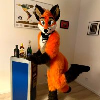 Fly JetFox - ๐ฆ โ๏ธ๐ฆ๐บ๐จ๐ฟ (@jetfox90) 's Twitter Profile