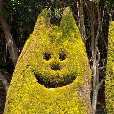 onupakotaso's profile picture. 僕は自分の選択に後悔はない