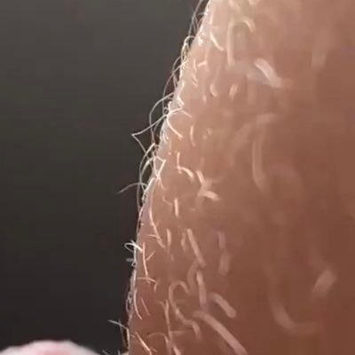 mantenindose1's profile picture. 