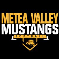 Metea Valley Softball(@MeteaSoftball) 's Twitter Profile Photo