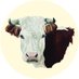 Gwatkin Red Cow (@gwatkinredcow) Twitter profile photo Gwatkin Red Cow (@gwatkinredcow) Twitter profile photo