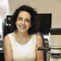 Caroll Beltran (@carollecnoloiv) 's Twitter Profile Photo Caroll Beltran (@carollecnoloiv) 's Twitter Profile Photo