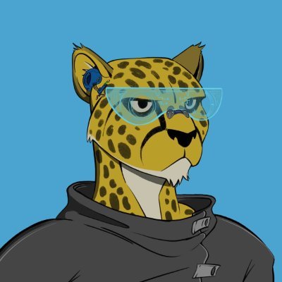 DeFi_Cheetah