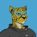 DeFi Cheetah (🌖,🔺） Profile picture