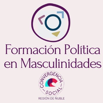 Formación Política en Masculinidades Antipatriarcales & No Hegemónicas - Convergencia Social - Ñuble