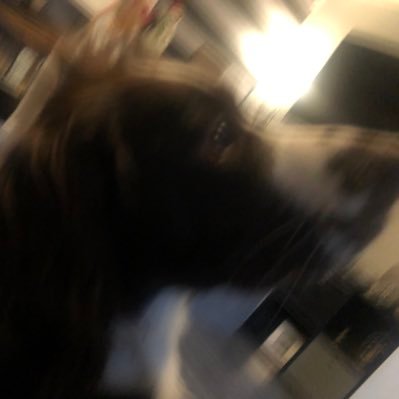 D4yle_0wens's profile picture. 