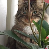 deniz (@deniz222906) Twitter profile photo