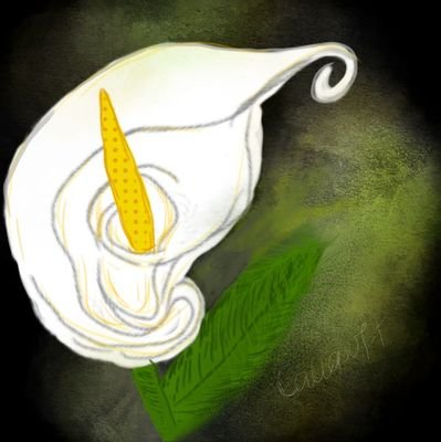 CallaSoft's profile picture. Coming out soon for Google Play Store!
RPG + mathematics game in a world under invasion by creatures, use your math to fight and claim prizes!