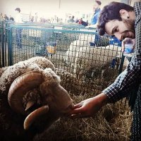 Christian Persichilli (@persichristian) 's Twitter Profile