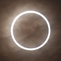 TX_ananlmes's profile picture. 