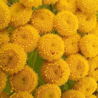 EternalLife369's profile picture. 