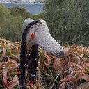 Michele Sasso - @MicheleSasso11 - Twitter