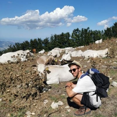 v_zanzani's profile picture. PhD student @UGent
No longer using this account, find me on 🦋 https://t.co/NWr3kM4VWN