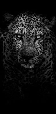 SamkeloKula's profile picture. Having fun