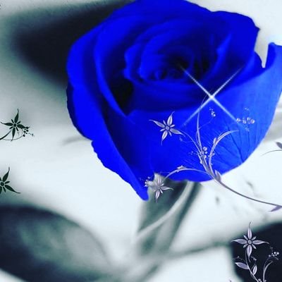 Lovzdev's profile picture. Kool Guy