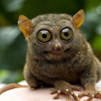 malalama14's profile picture. 