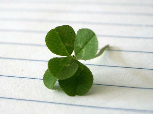 10KPR's profile picture. Boutique twitter promotions agency offering account management, promotion and partnering high profile twitter personalities with business.