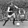 wareham1958's profile picture. massive arsenal supporter ,don't like spuds at all that's mildest way i can say it on here,like Florence and the machine,foo fighters,the jam and most music