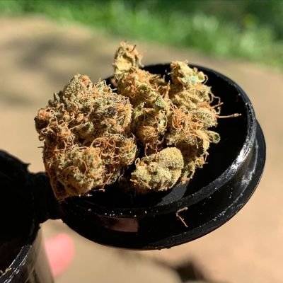 Budtender / Review / Marketing at Remedy
Cannabis Advocate & Enthusiast. 18+ 
USA/UK/Canada/Australia/Germany/Japan…
Telegram_ @jones711 /WhatsApp.+19707737621