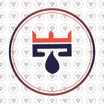 TechsoulEmpire's profile picture. Techsoul Empire is a Company that specializes in web development and designs, UI/UX, content and technical writing, digital marketing, Graphic designs,Video ads