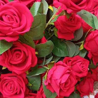 aysegul_krt's profile picture. kabul etmiyor kalbim ALLAH 'tan başkasını.
öğrenci. hafıze . DM yok