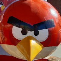 Angry bird (@evajprins) 's Twitter Profile