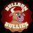 BulliesBullrun's profile image