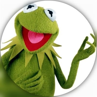 pronouns are: she/her
fan of: the muppets, and more 
please let the muppets be themselves disney
