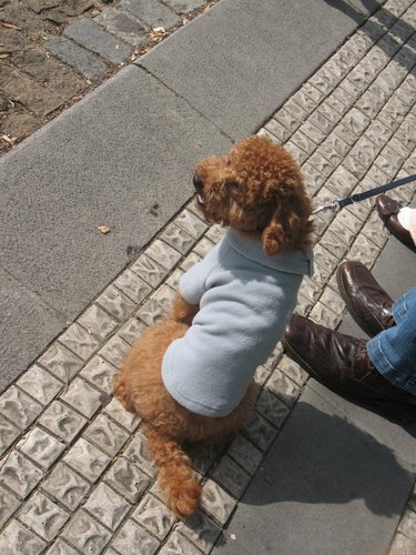 Peterpuddlecoat's profile picture. Shut the front door