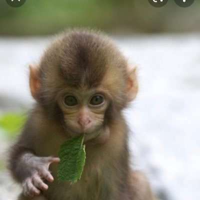 shorey_rose1's profile picture. 11 ⚽️soccer ⚽️