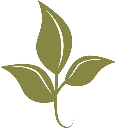 SitioMeiodoMato's profile picture. Simplicidade e sofisticação tornando seu evento inesquecível!