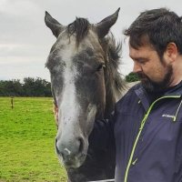 Dave Stephens (@davestevos) 's Twitter Profile