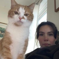 Anna (@chiligirlanna) 's Twitter Profile Photo