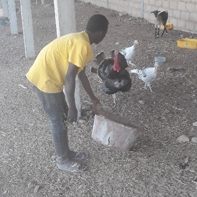 Am saidou jallow from the Gambia love friendship animals rearing is my job need sponsors nice to meet you all...