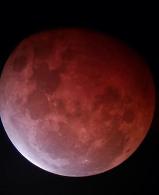 James04989401's profile picture. Single, 50 something Aussie from Adelaide, love to chat, meet new ppl from all walks of life. If you want to chat, DM me anytime.