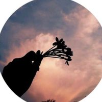 ًً (@20_iixs) Twitter profile photo