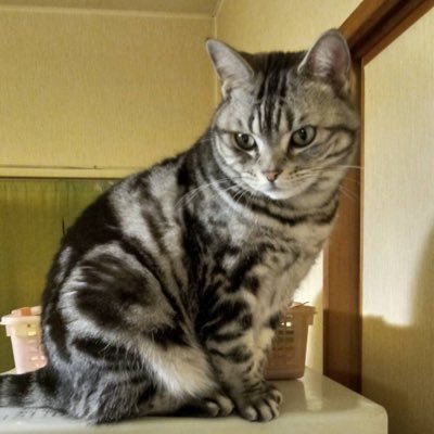 GG9qgEQxvgNcBDR's profile picture. 