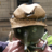 Alzibiff's profile image