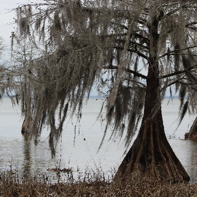 GIS Manager at a botanical garden, SKYWARN weather spotter, hiker and naturalist.