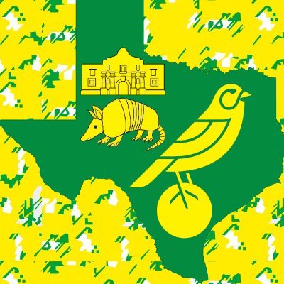 LoneStarCanary Profile Picture