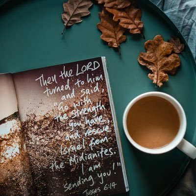 cscec21's profile picture. 我有玲珑酒一壶，山月为枕，薄露作被，温一壶往事，与你共浇杯