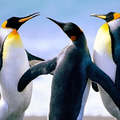 hannaanil16's profile picture. 