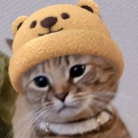 riechan1111 (@riechan11111) 's Twitter Profile Photo riechan1111 (@riechan11111) 's Twitter Profile Photo